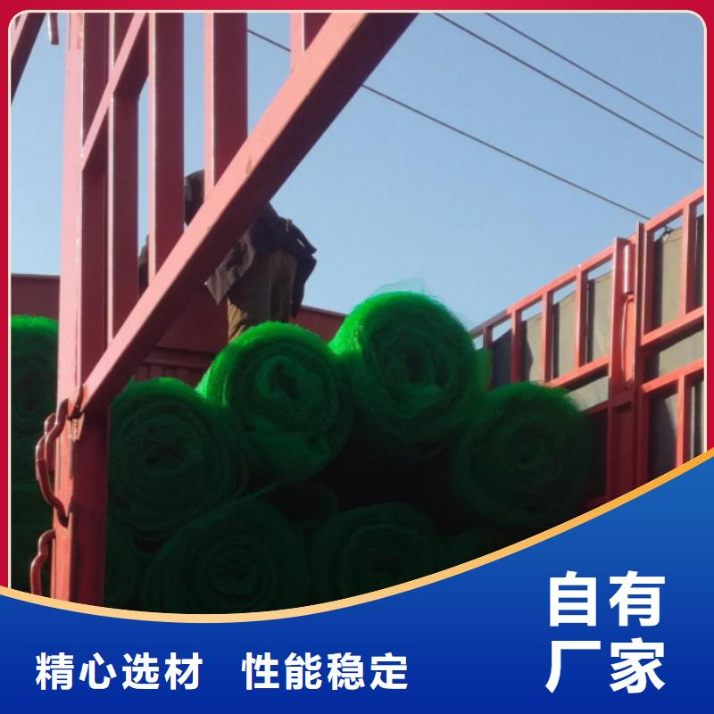 三维植被网【车库虹吸排水系统】海量库存