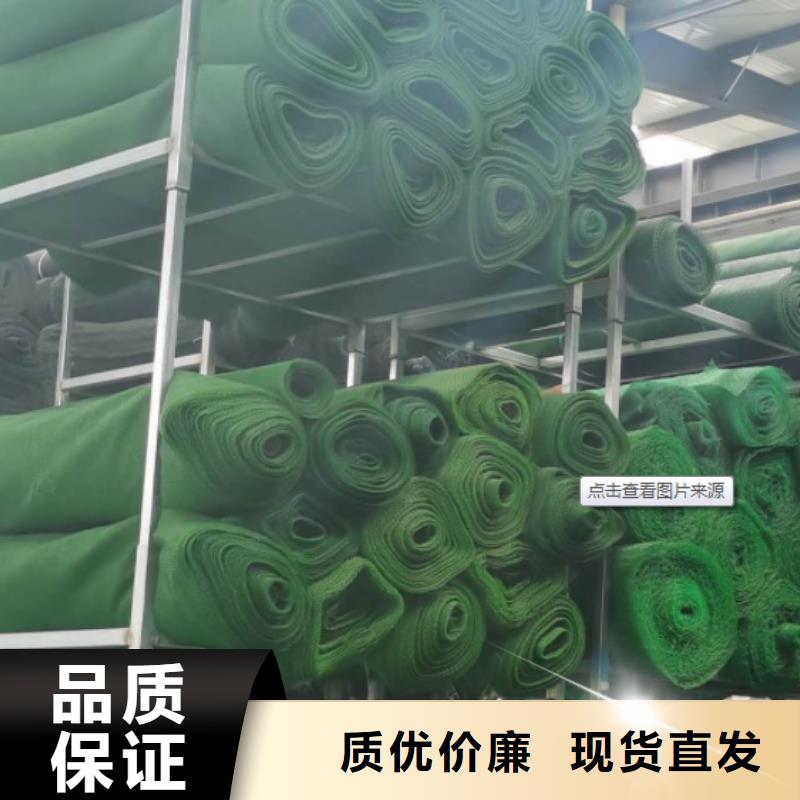 三维植被网-水泥化粪池通过检测