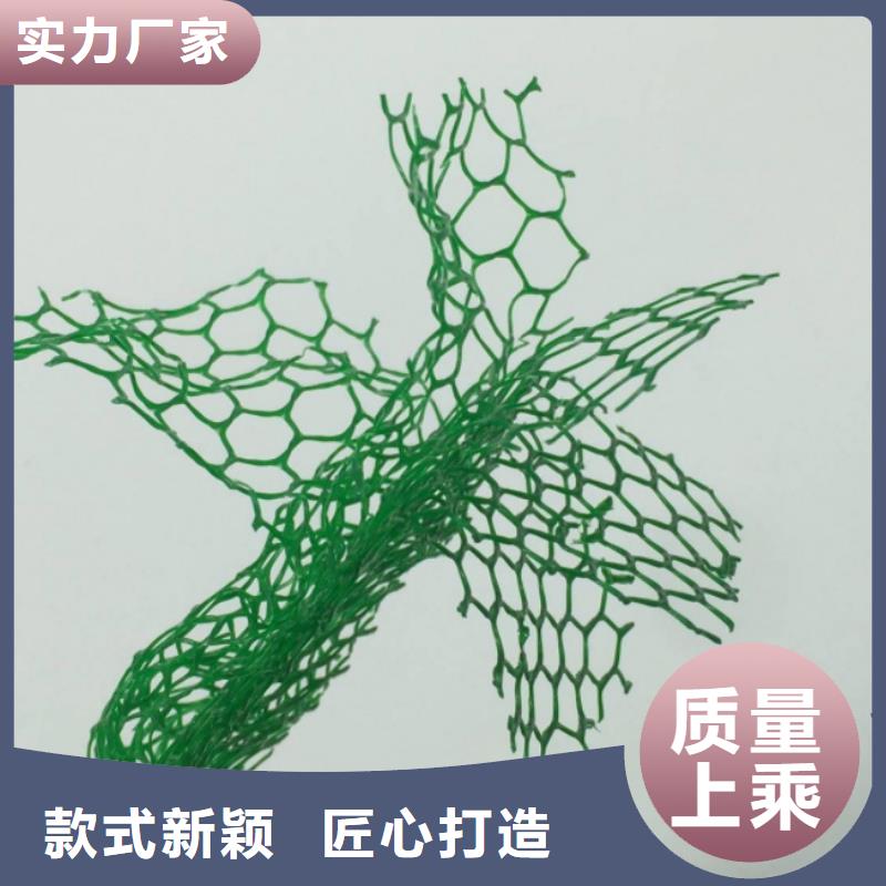 三维植被网防护虹吸排水收集系统老品牌厂家