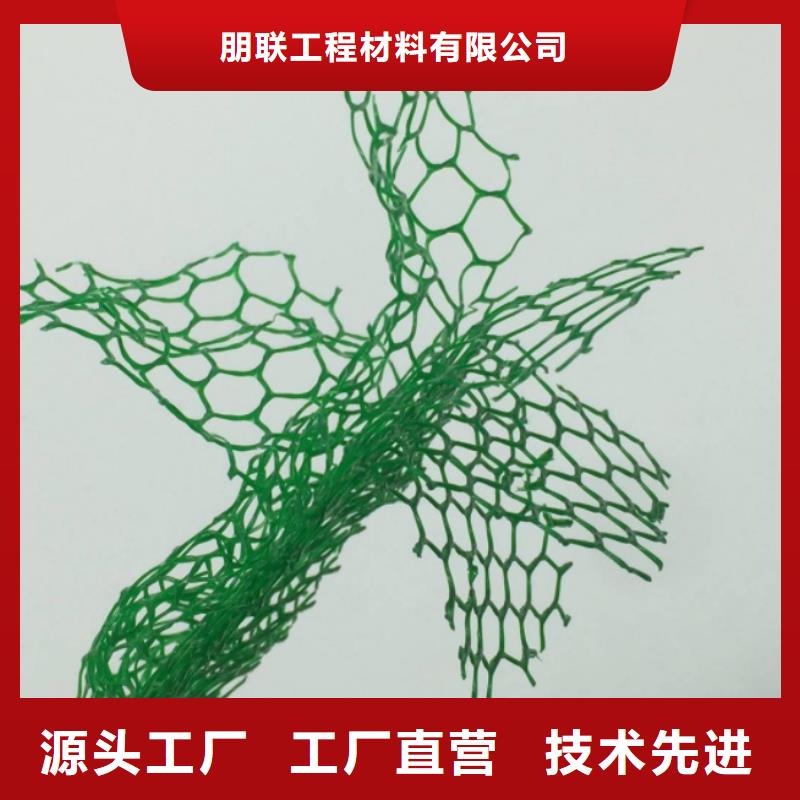三维植被网-排水板现货交易