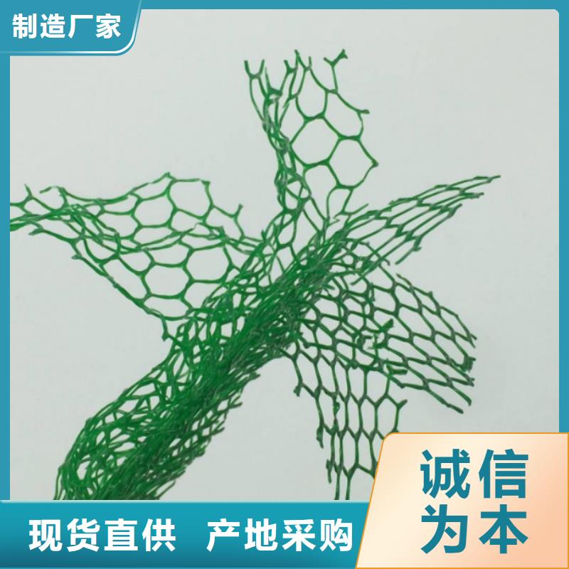 三维植被网植草格N年大品牌