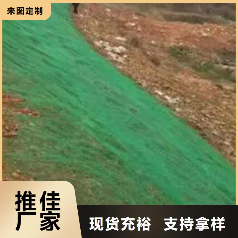 三维植被网排水板货到付款