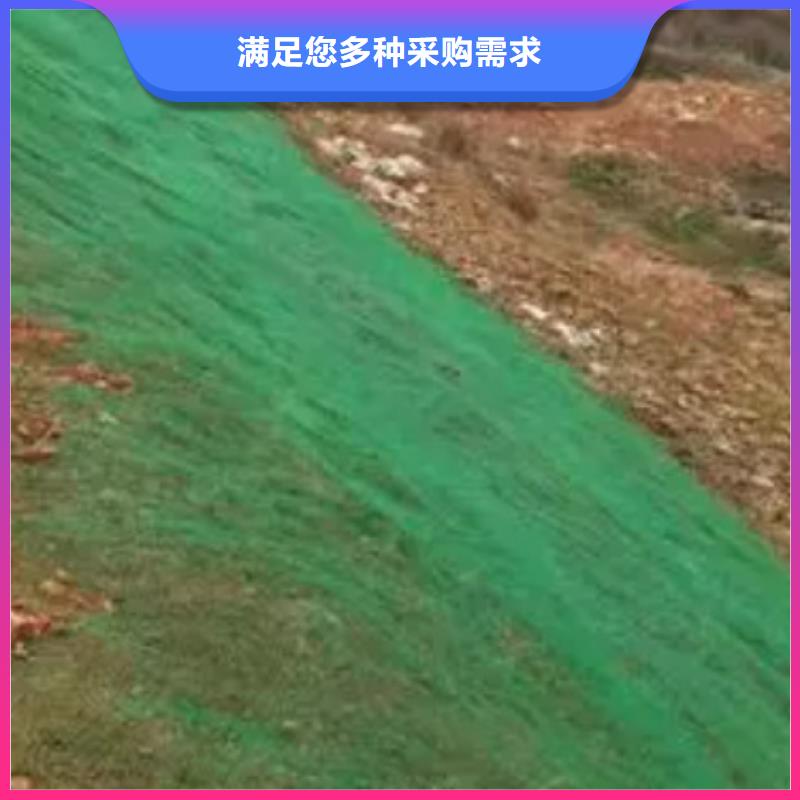 三维植被网植草格库存丰富