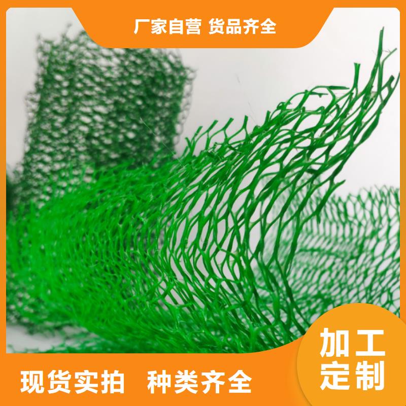 三维植被网-防护虹吸排水收集系统厂家直销
