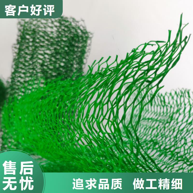 三维植被网排水板源头直供