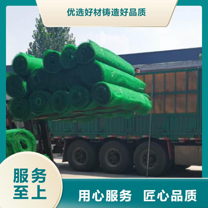 三维植被网防护虹吸排水收集系统厂家型号齐全