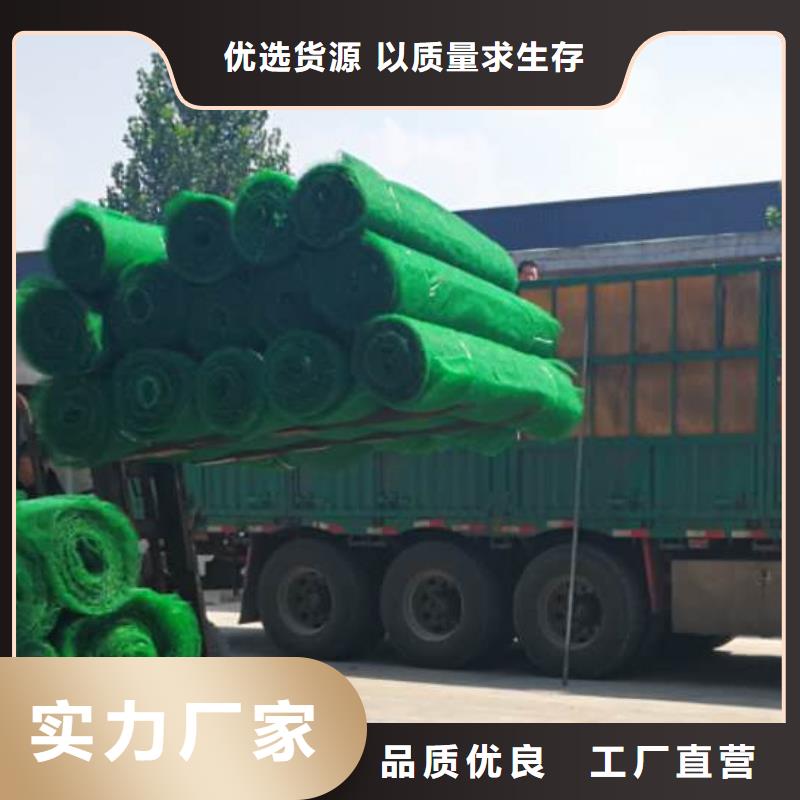 【三维植被网车库虹吸排水系统严格把控质量】