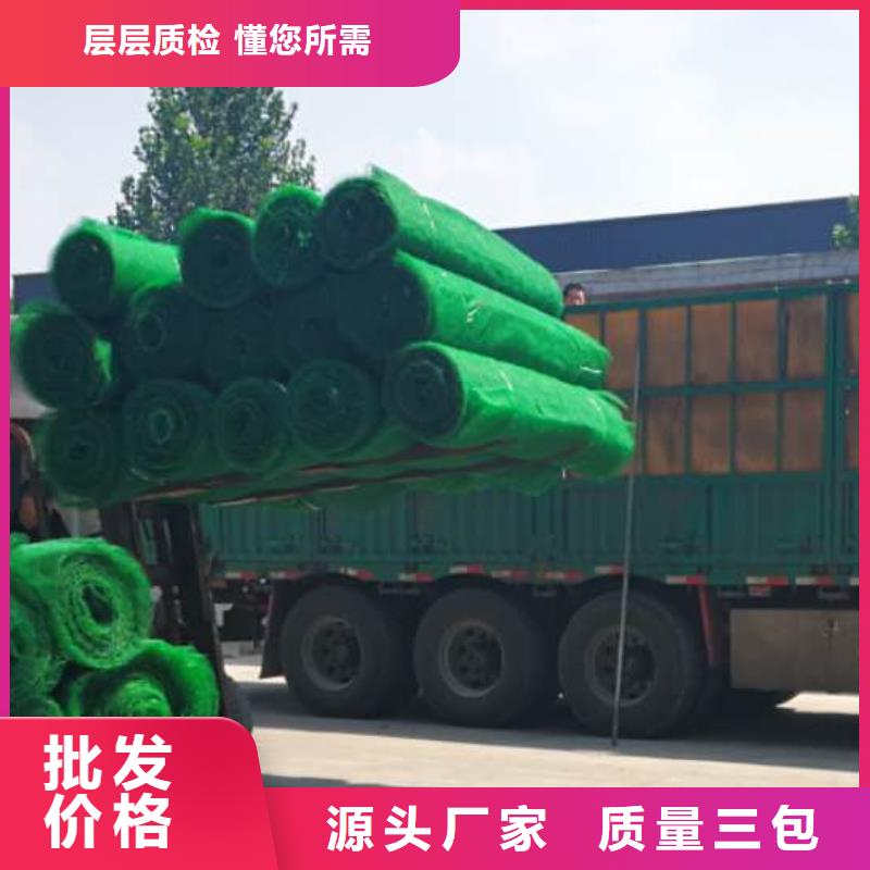 三维植被网植草格海量货源