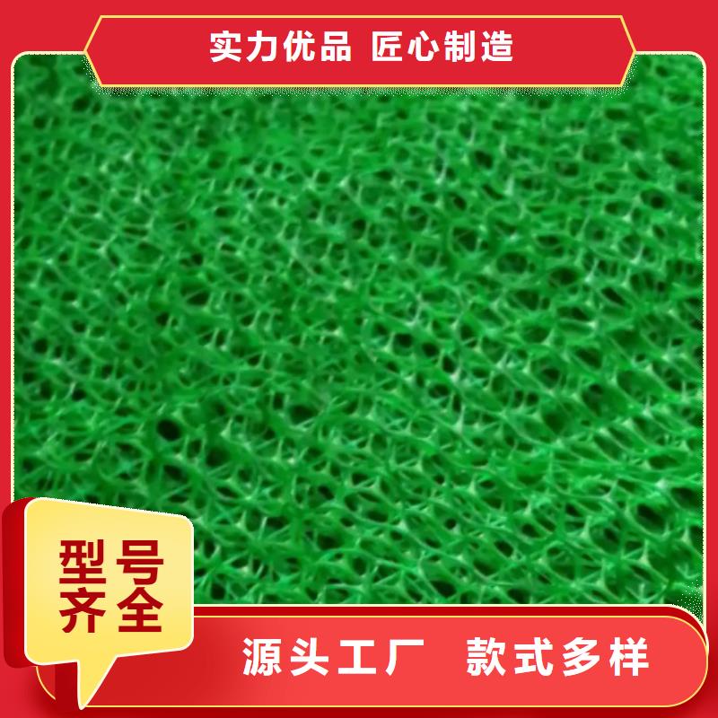 三维植被网排水板设计合理