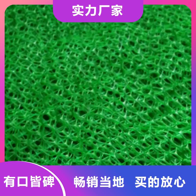 三维植被网植草格N年大品牌