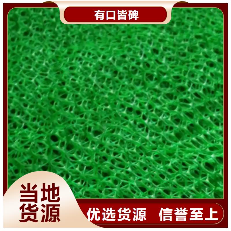 【三维植被网植草格好品质选我们】