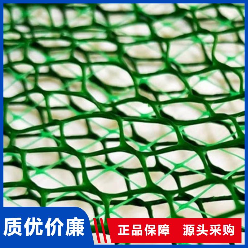 三维植被网植草格N年大品牌
