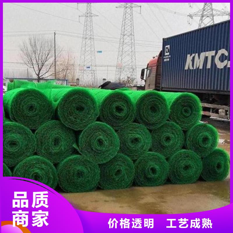三维植被网防护虹吸排水收集系统做工精细
