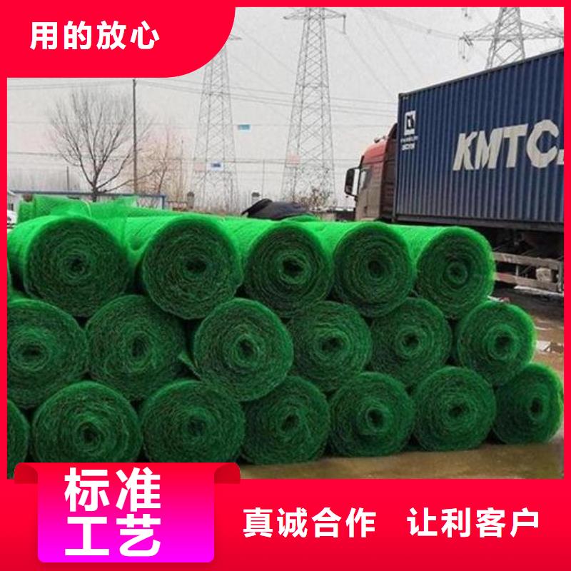 三维植被网-防护虹吸排水收集系统厂家直销