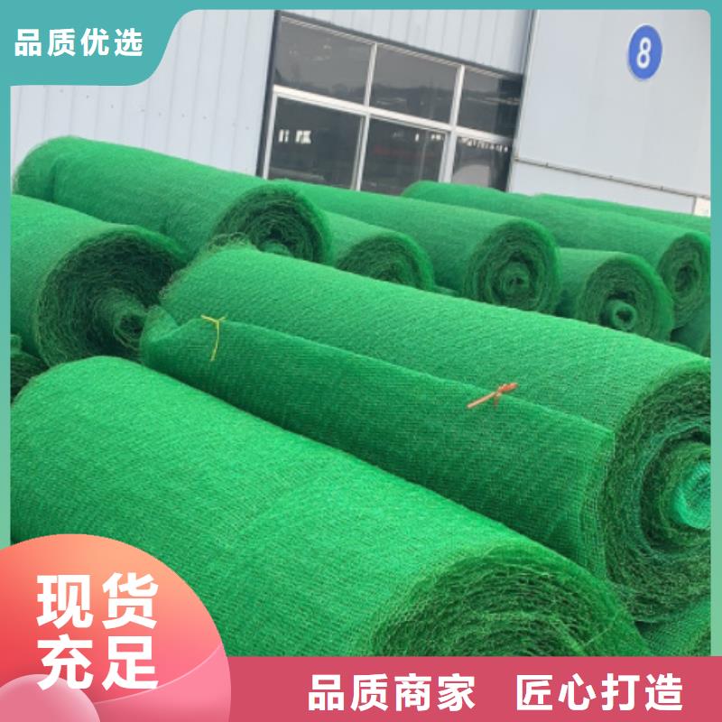 三维植被网-车库虹吸排水系统应用领域