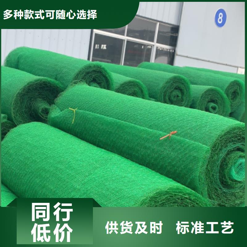 三维植被网水泥化粪池品质好才是硬道理