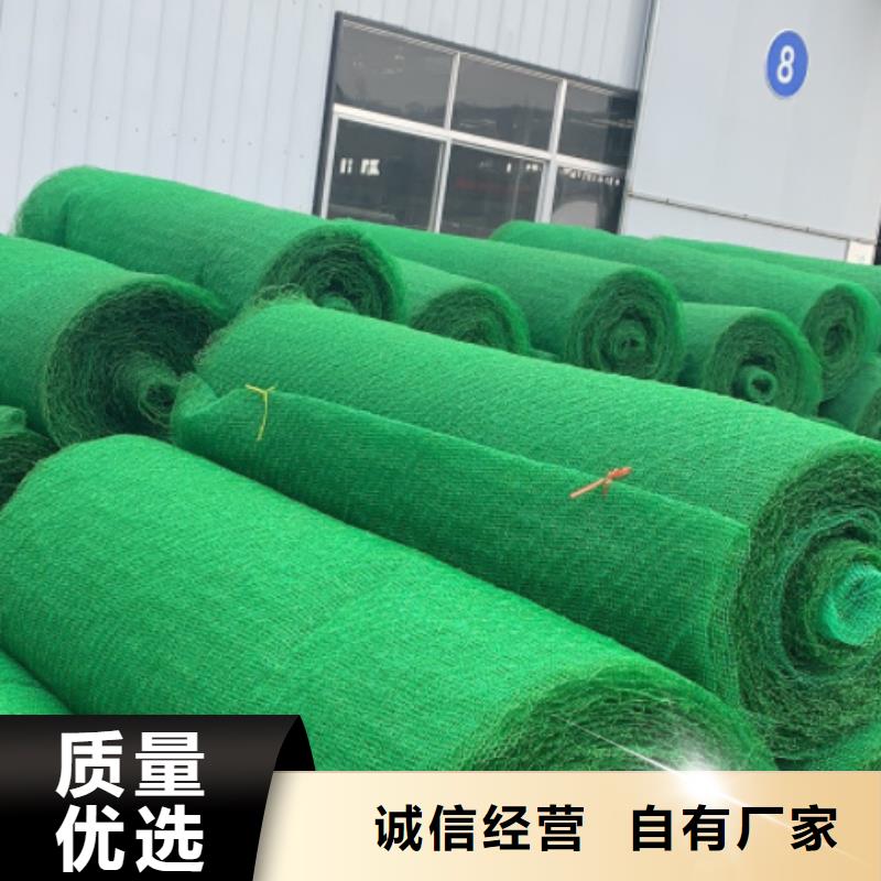 三维植被网水泥化粪池多年行业经验