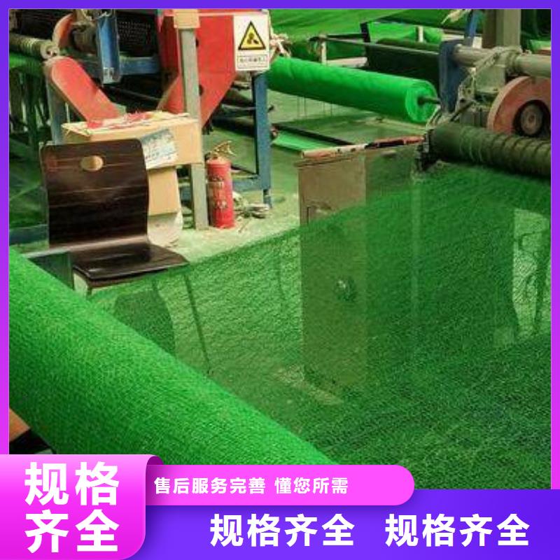 三维植被网-防护虹吸排水收集系统厂家直销