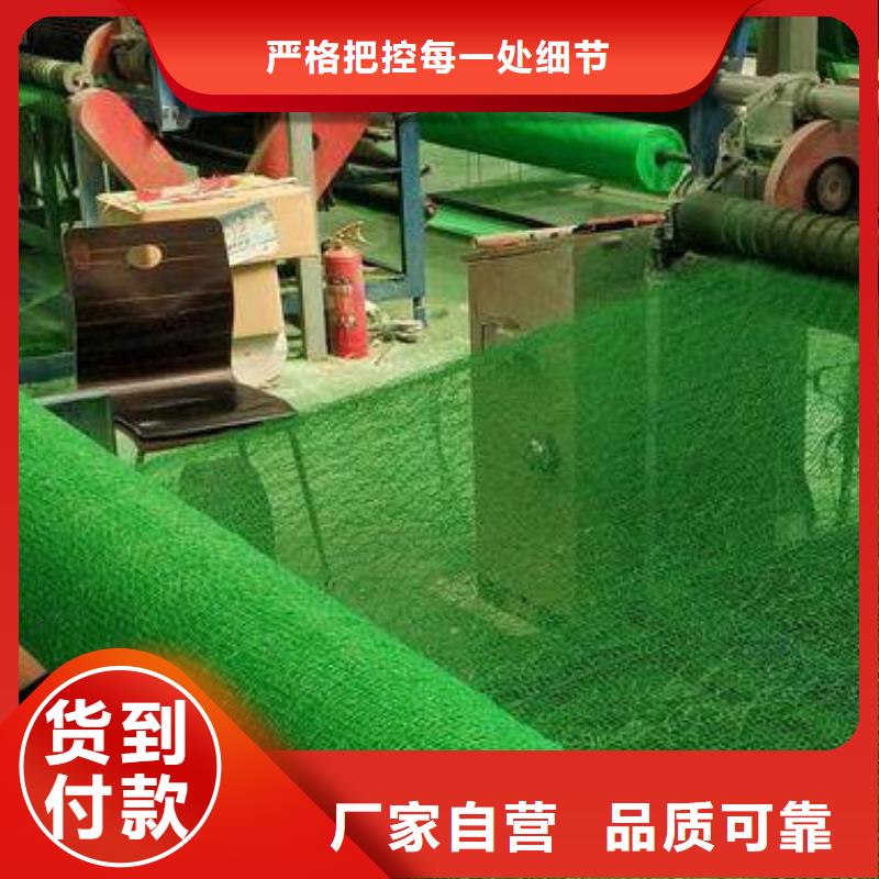 三维植被网水泥化粪池品质好才是硬道理