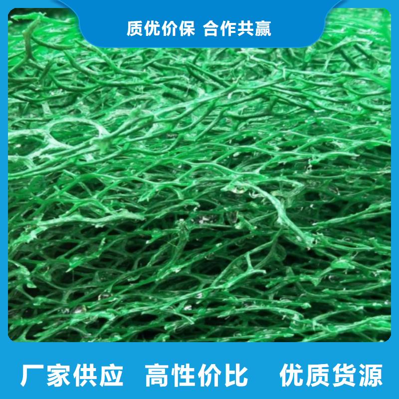 三维植被网-植草格服务周到