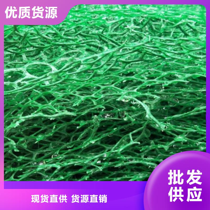 三维植被网防护虹吸排水收集系统做工精细