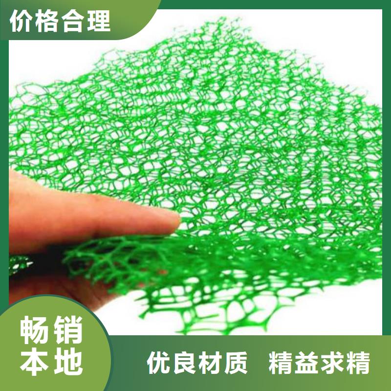 三维植被网防护虹吸排水收集系统价格实惠