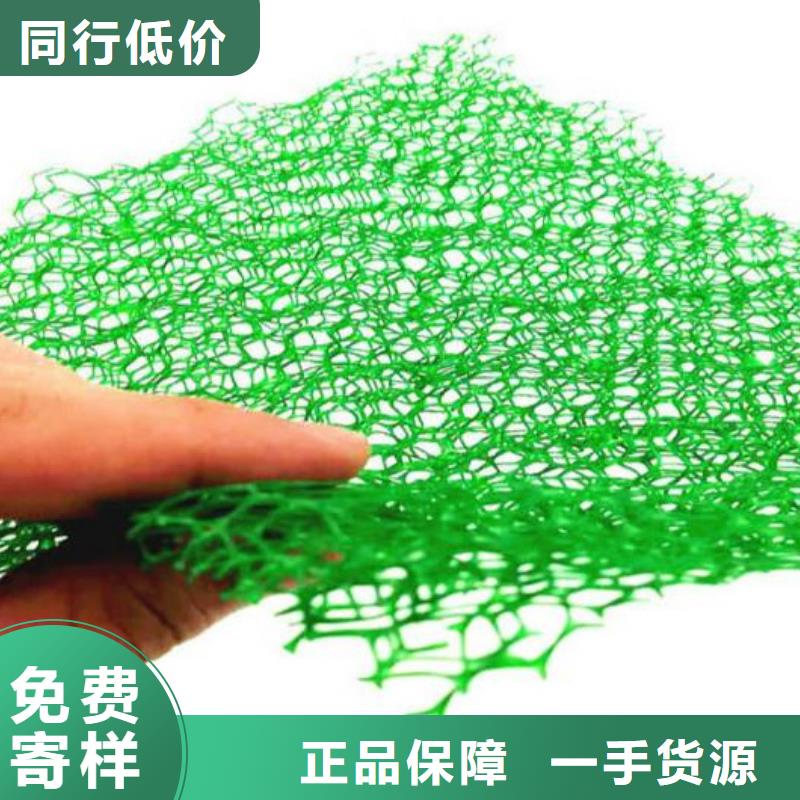 三维植被网防护虹吸排水收集系统价格实惠