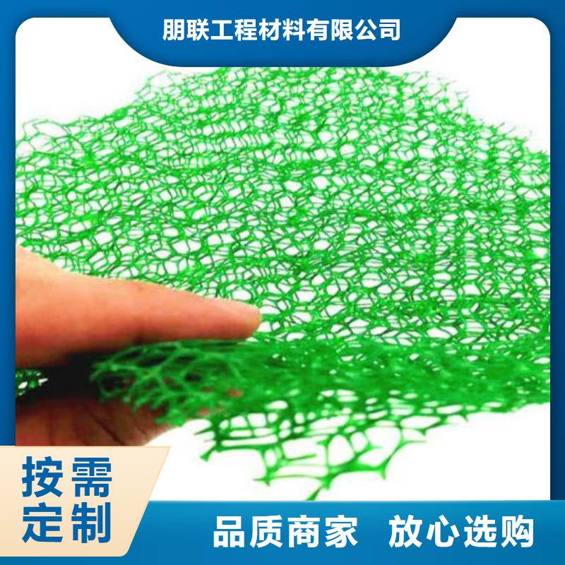 三维植被网排水板厂家工艺先进