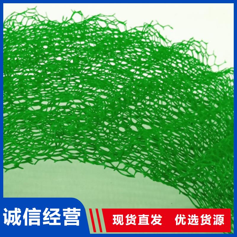三维植被网【植草格】放心购