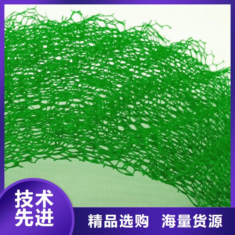 三维植被网防护虹吸排水收集系统敢与同行比服务