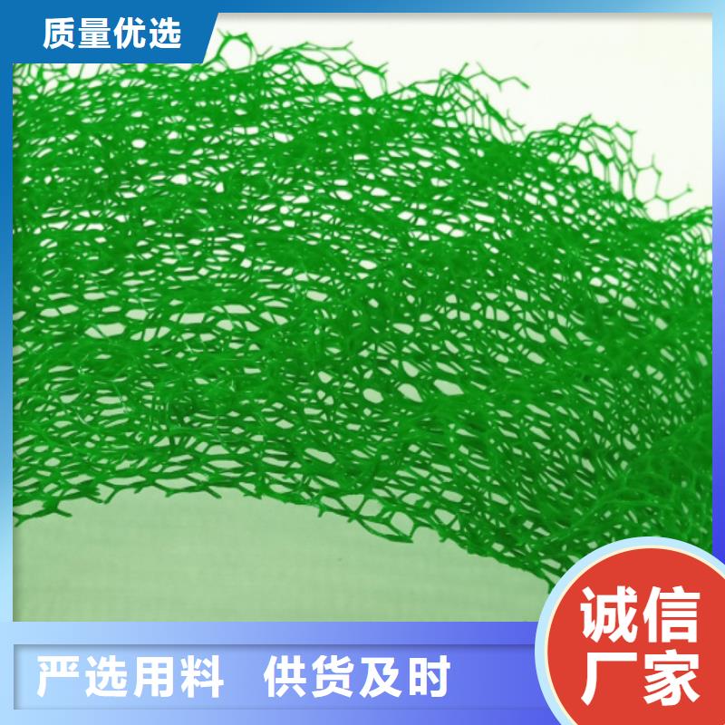 三维植被网防护虹吸排水收集系统用心服务