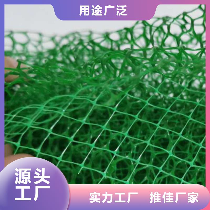三维植被网水泥化粪池多年行业经验