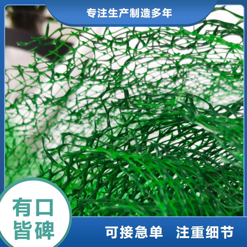 三维植被网排水板厂家工艺先进