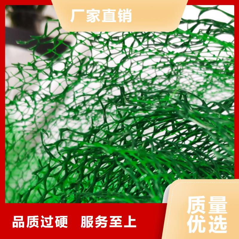 三维植被网植草格海量货源