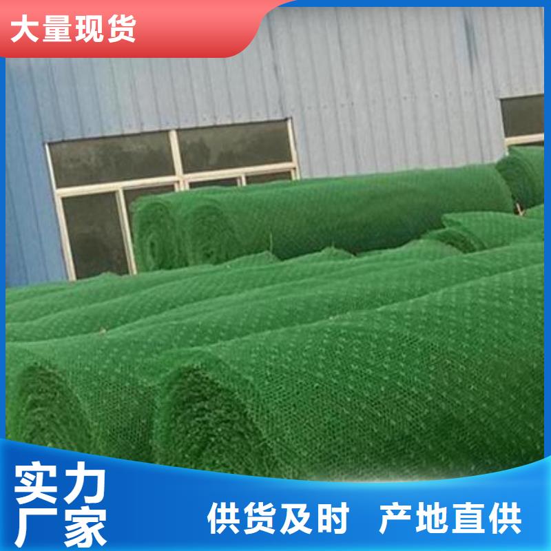 三维植被网植草格海量货源