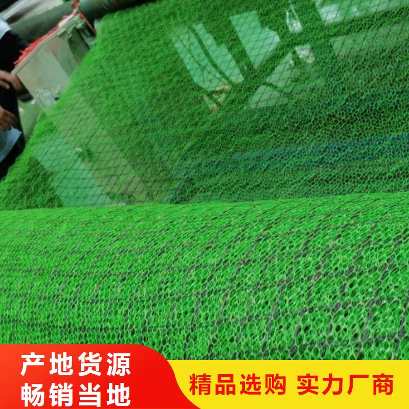 三维植被网【排水板】一站式供应厂家