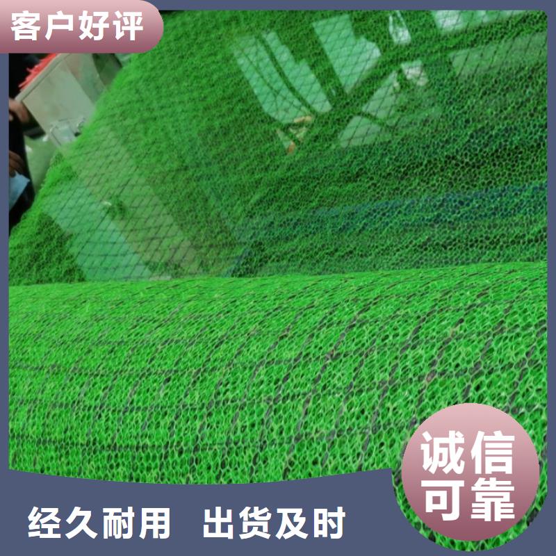 【三维植被网】化粪池水泥从源头保证品质
