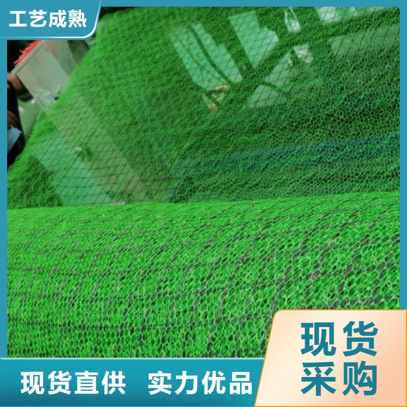 三维植被网,防护虹吸排水收集系统品质保障价格合理
