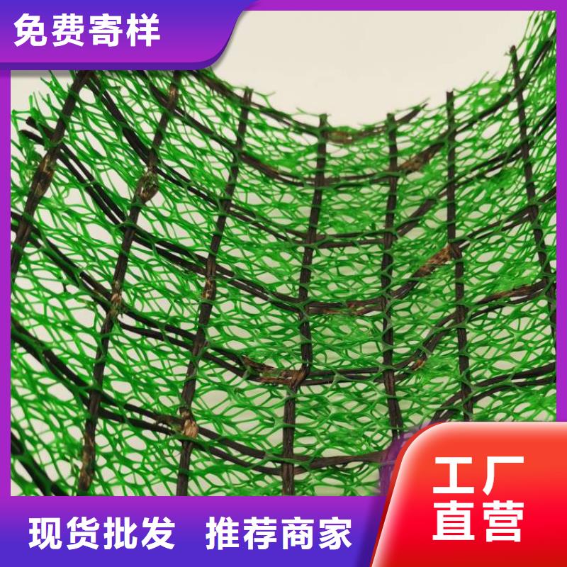 三维植被网植草格库存丰富