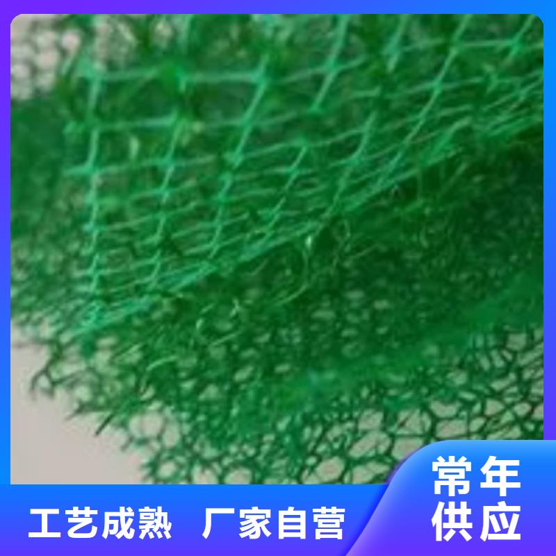 三维植被网车库虹吸排水系统优良工艺