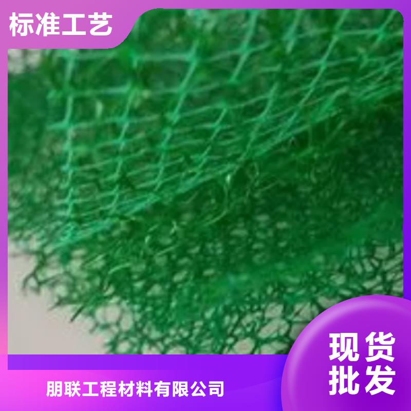 三维植被网排水板货到付款