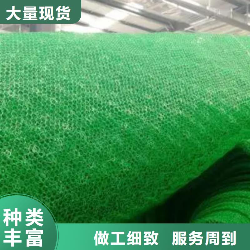 三维植被网防护虹吸排水收集系统敢与同行比服务