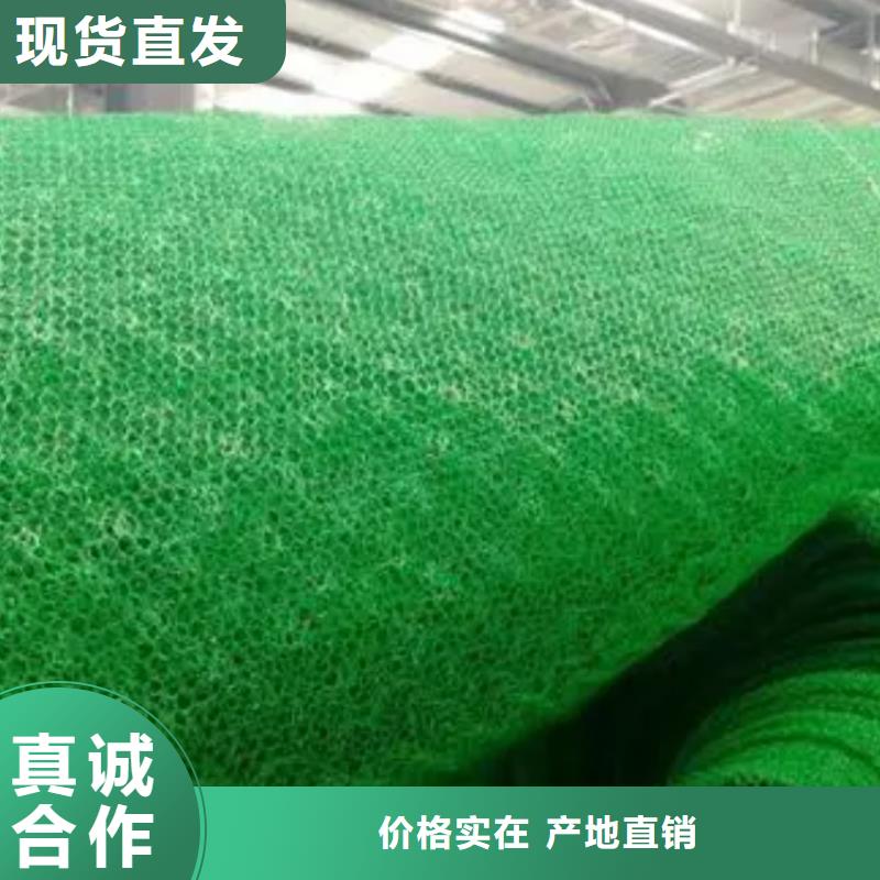 【三维植被网水泥化粪池今日新品】