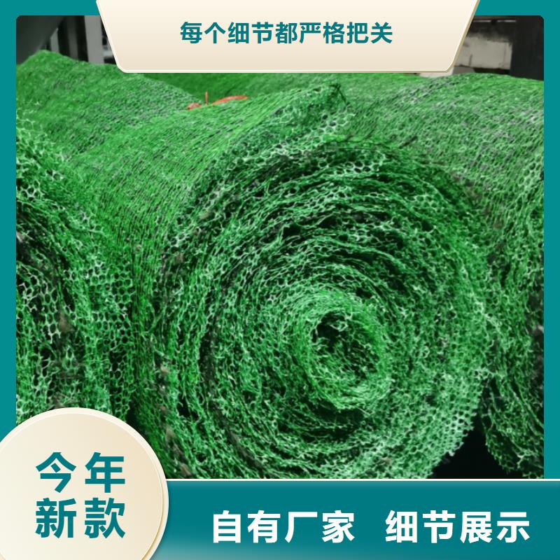 三维植被网-防护虹吸排水收集系统厂家直销