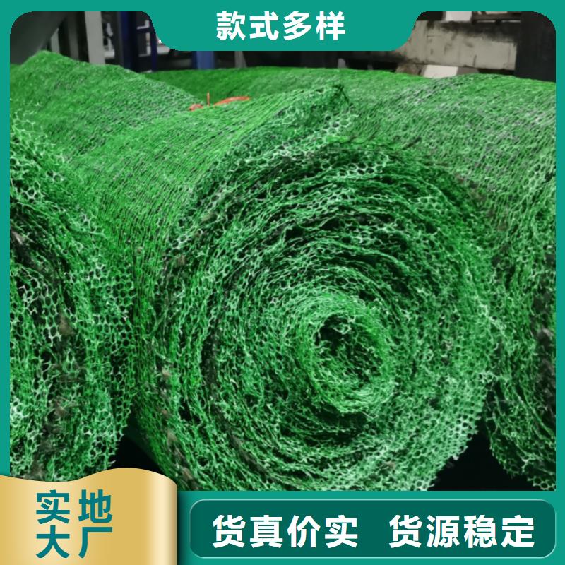 三维植被网植草格精品选购
