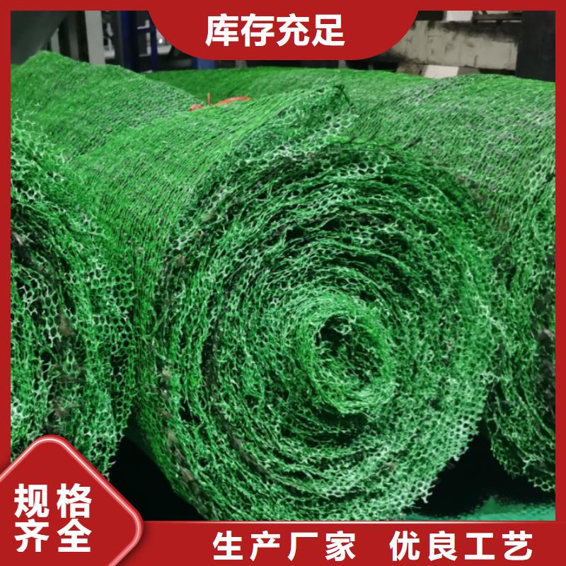 三维植被网防护虹吸排水收集系统现货实拍