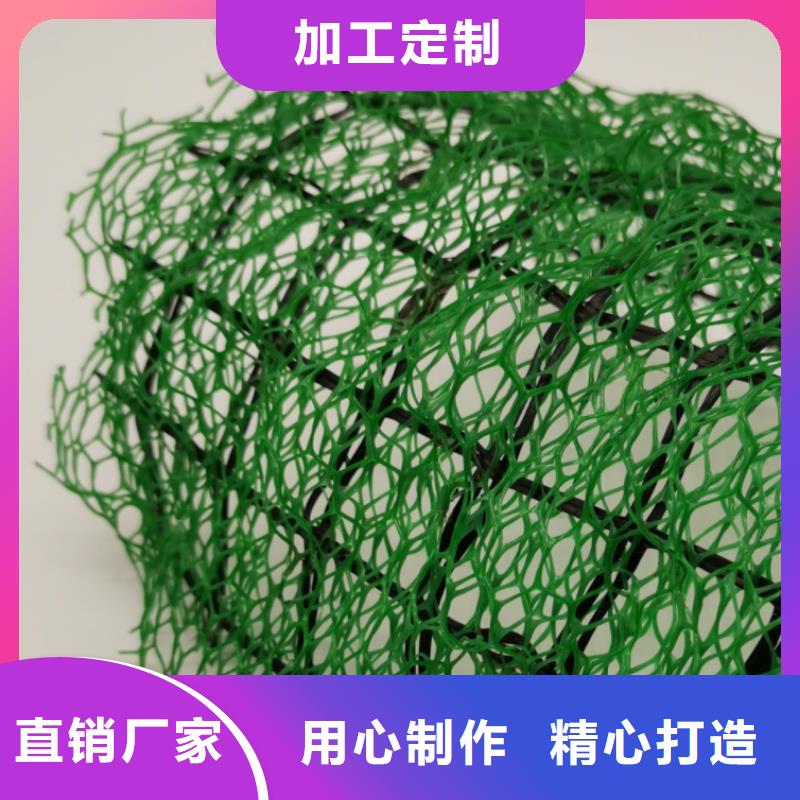三维植被网排水板厂家型号齐全