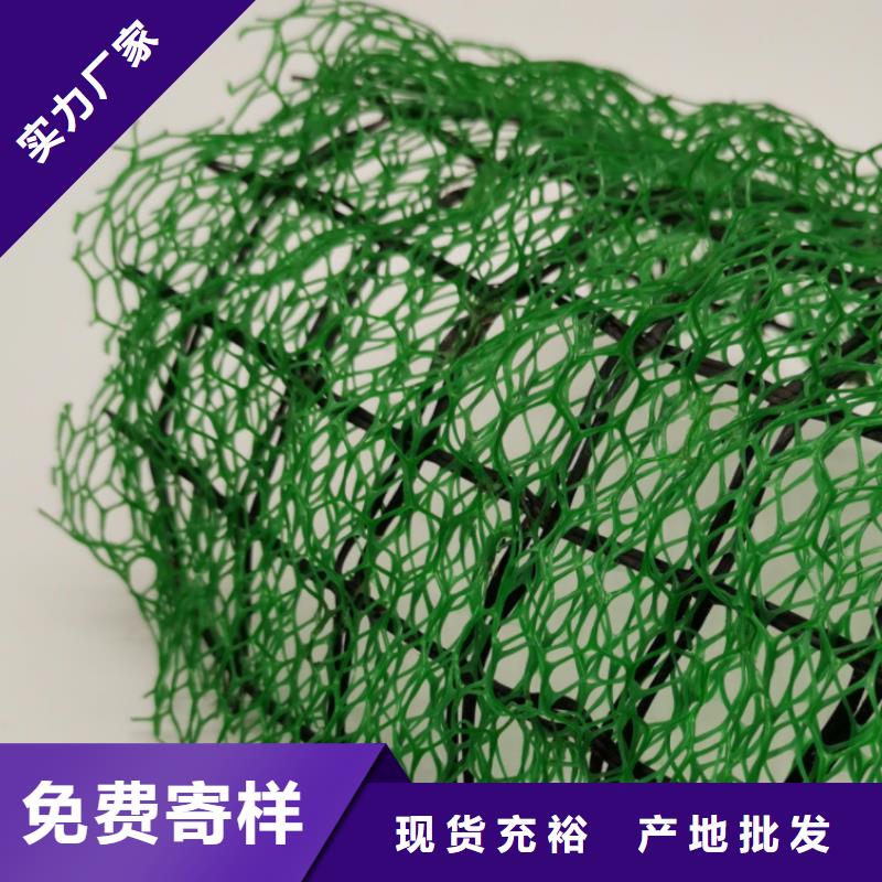 三维植被网-防护虹吸排水收集系统厂家直销