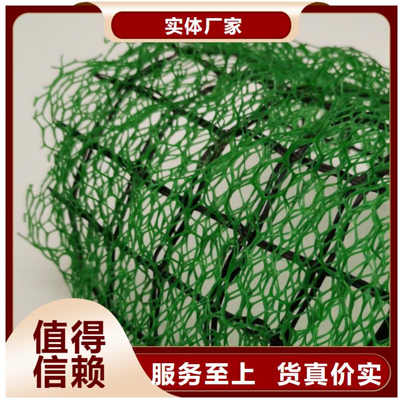 三维植被网【车库虹吸排水系统】海量库存