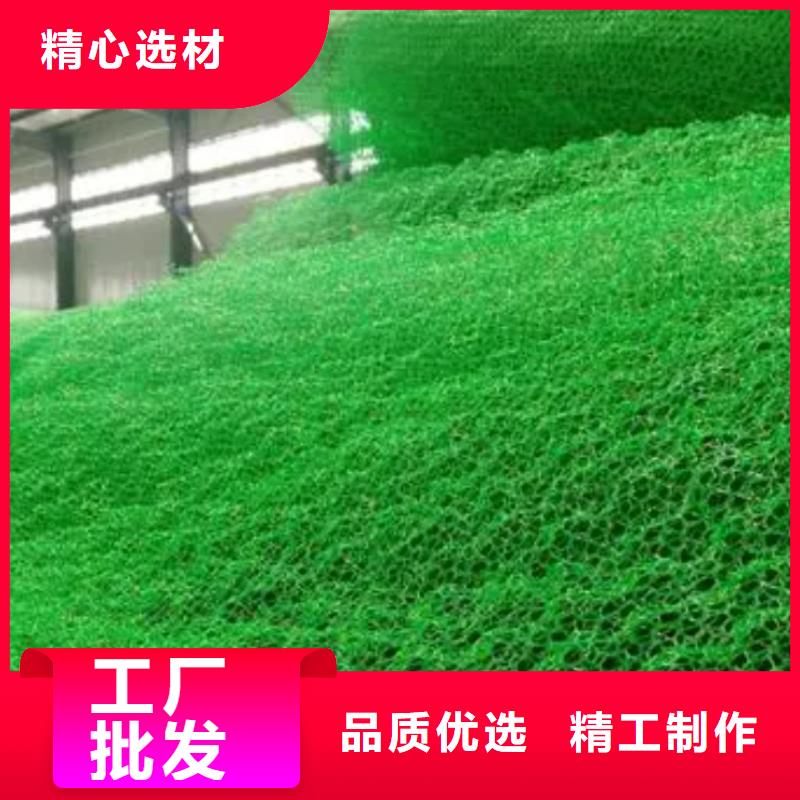 三维植被网【防护虹吸排水收集系统】厂家